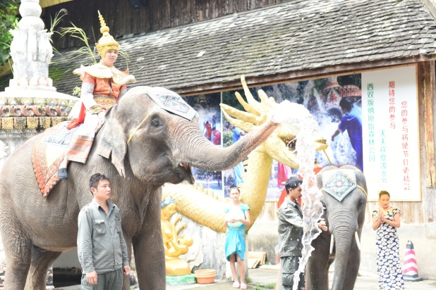 大象与王子